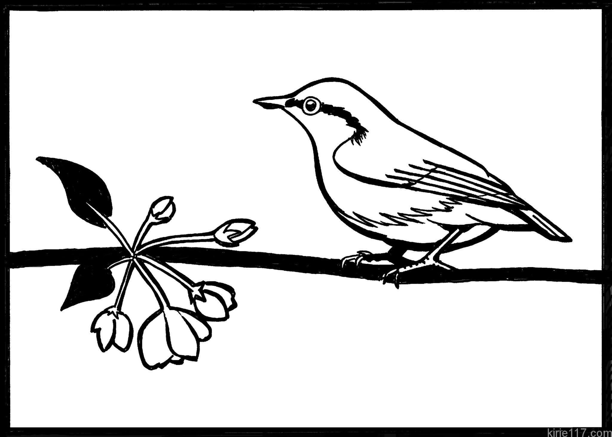 無料の切り絵の図案 小鳥と花 難易度 中級