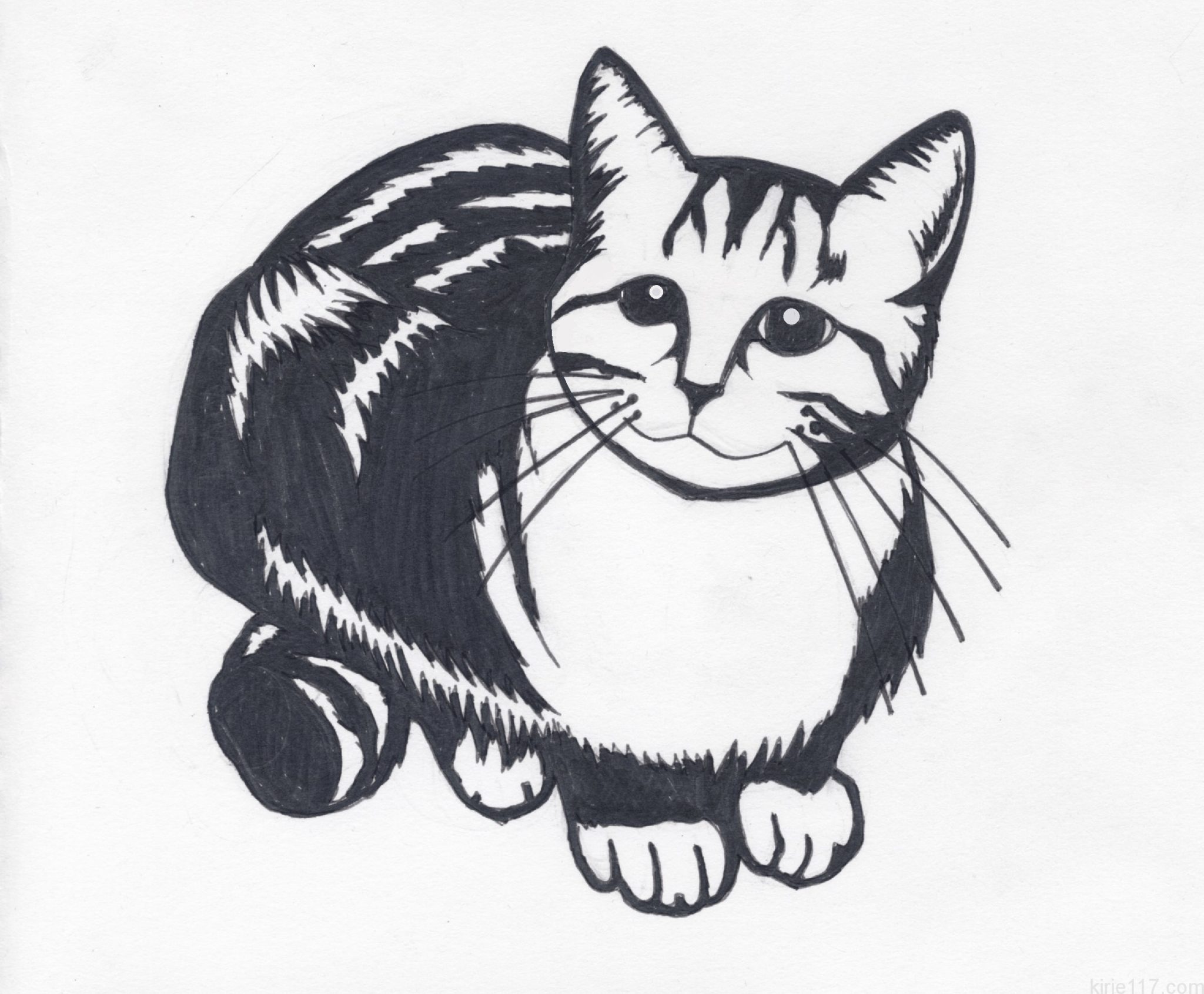 品質が完璧 かわいい猫の絵 猫の絵 黒猫 玉乗り villarce.com.br