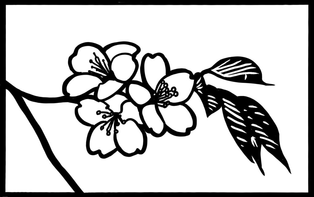 桜　さくら　切り絵　図案　下絵　無料　フリー